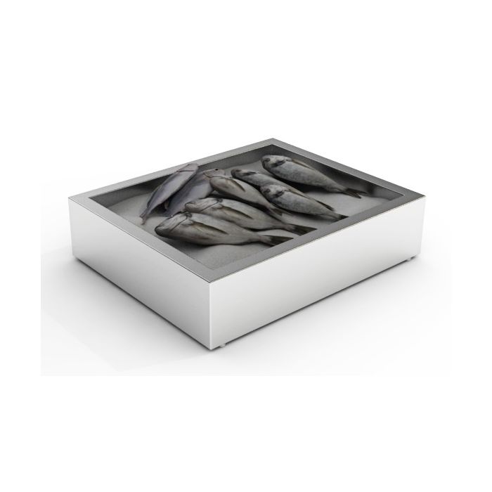 Crushed Ice Bak 2/1 GN | Opbouw | Combisteel 7013.2705 | 722x590x170(h)mm