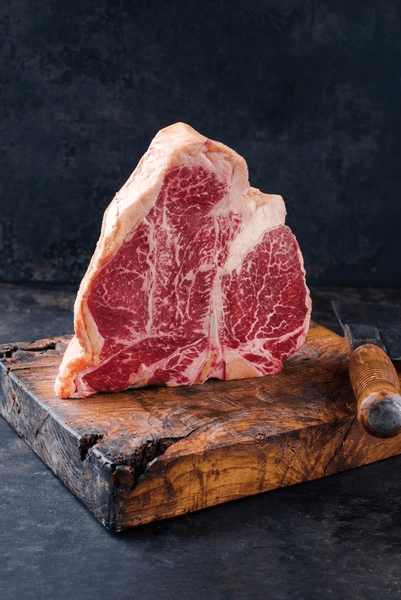 Dry Age Kast | 127L | Geforceerd | 230V | 595x570x820(h)mm